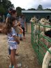 Filename=Alpacas_7929.jpg
Filesize=140KiB
Dimensions=540x720
Date added=Sep 29, 2021 Alpacas_7929.jpg
