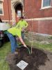 Filename=ArborDay_Tree-1.jpg
Filesize=166KiB
Dimensions=540x720
Date added=Apr 30, 2025 ArborDay_Tree-1.jpg