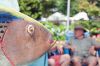 Filename=ArtsPark_1333.jpg
Filesize=158KiB
Dimensions=1082x720
Date added=Jul 16, 2015 ArtsPark_1333.jpg