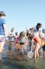 Filename=BBCseining_8629.jpg
Filesize=91KiB
Dimensions=480x720
Date added=Jul 28, 2016 BBCseining_8629.jpg