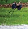 Filename=Ball_BlueH_2.jpg
Filesize=119KiB
Dimensions=685x720
Date added=Jul 14, 2023 Ball_BlueH_2.jpg
