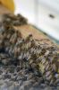 Filename=Bees_8024.jpg
Filesize=65KiB
Dimensions=480x720
Date added=Oct 04, 2017 Bees_8024.jpg
