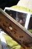Filename=Bees_8064.jpg
Filesize=66KiB
Dimensions=480x720
Date added=Oct 04, 2017 Bees_8064.jpg