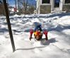 Filename=Big-Papi-in-the-Snow-3_11_17.jpg
Filesize=142KiB
Dimensions=872x720
Date added=Mar 15, 2017 Big-Papi-in-the-Snow-3_11_17.jpg