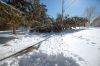 Filename=Blizzard_5592.jpg
Filesize=159KiB
Dimensions=864x574
Date added=Feb 14, 2013 Blizzard_5592.jpg
