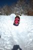 Filename=Blizzard_5612.jpg
Filesize=314KiB
Dimensions=864x1301
Date added=Feb 14, 2013 Blizzard_5612.jpg
