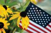 Filename=Block_Flower.jpg
Filesize=183KiB
Dimensions=1350x900
Date added=Aug 29, 2012 Block_Flower.jpg