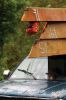 Filename=BoatRace_1832.jpg
Filesize=78KiB
Dimensions=480x720
Date added=Jun 01, 2017 BoatRace_1832.jpg