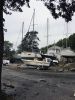 Filename=Boatyard-Fire-082522-Marilou_9745.jpg
Filesize=184KiB
Dimensions=648x864
Date added=Aug 25, 2022 Boatyard-Fire-082522-Marilou_9745.jpg