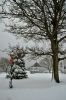 Filename=Bodil1.jpg
Filesize=718KiB
Dimensions=1200x1800
Date added=Dec 22, 2009 Bodil1.jpg