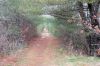 Filename=BogWalk_8468.jpg
Filesize=344KiB
Dimensions=1082x720
Date added=Jan 20, 2016 BogWalk_8468.jpg