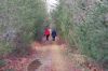 Filename=BogWalk_8490.jpg
Filesize=318KiB
Dimensions=1080x720
Date added=Jan 20, 2016 BogWalk_8490.jpg
