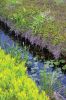 Filename=Bogs4.jpg
Filesize=308KiB
Dimensions=648x972
Date added=Jun 04, 2014 Bogs4.jpg