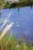 Filename=Bogs5.jpg
Filesize=140KiB
Dimensions=648x972
Date added=Jun 04, 2014 Bogs5.jpg