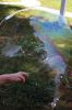 Filename=Bubbles_3296.jpg
Filesize=78KiB
Dimensions=480x720
Date added=Jul 26, 2017 Bubbles_3296.jpg