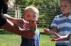 Filename=Butterflies_8323.jpg
Filesize=75KiB
Dimensions=648x432
Date added=Oct 02, 2014 Butterflies_8323.jpg
