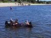 Filename=CardBoatRace_0027.jpg
Filesize=246KiB
Dimensions=960x720
Date added=Jun 21, 2017 CardBoatRace_0027.jpg