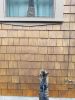 Filename=Cats_061319.jpg
Filesize=124KiB
Dimensions=540x720
Date added=Jun 12, 2019 Cats_061319.jpg