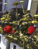 Filename=ColorBlindCover.jpg
Filesize=146KiB
Dimensions=556x720
Date added=Sep 05, 2018 ColorBlindCover.jpg
