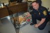 Filename=Comfort-Dog-Norman-w-PD-Chief-Richard-Nighelli-061324.jpg
Filesize=162KiB
Dimensions=1081x720
Date added=Jun 12, 2024 Comfort-Dog-Norman-w-PD-Chief-Richard-Nighelli-061324.jpg