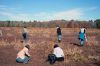 Filename=Cranberry_4104.jpg
Filesize=80KiB
Dimensions=648x432
Date added=Oct 29, 2014 Cranberry_4104.jpg