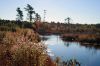 Filename=Cranberry_5210.jpg
Filesize=78KiB
Dimensions=648x432
Date added=Oct 29, 2014 Cranberry_5210.jpg