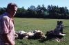 Filename=Cranberry_9392.jpg
Filesize=104KiB
Dimensions=648x432
Date added=Sep 30, 2016 Cranberry_9392.jpg