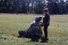 Filename=Cranberry_9410.jpg
Filesize=119KiB
Dimensions=648x432
Date added=Sep 30, 2016 Cranberry_9410.jpg