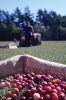 Filename=Cranberry_c_9430.jpg
Filesize=141KiB
Dimensions=648x972
Date added=Sep 30, 2016 Cranberry_c_9430.jpg