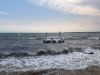CrescentRaft_3952.jpg