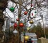 Filename=Dahl_-Ornaments-2017.jpg
Filesize=290KiB
Dimensions=804x720
Date added=Dec 07, 2017 Dahl_-Ornaments-2017.jpg