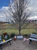 Filename=DanaWalk_8662.jpg
Filesize=191KiB
Dimensions=540x720
Date added=Jan 03, 2024 DanaWalk_8662.jpg