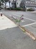 Filename=DebSilva_flower.jpg
Filesize=142KiB
Dimensions=540x720
Date added=Sep 16, 2020 DebSilva_flower.jpg