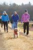 Filename=DogWalk_3923.jpg
Filesize=81KiB
Dimensions=479x720
Date added=Dec 02, 2015 DogWalk_3923.jpg