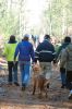 Filename=DogWalk_4017.jpg
Filesize=119KiB
Dimensions=479x720
Date added=Dec 02, 2015 DogWalk_4017.jpg