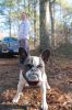 Filename=DogWalk_4108.jpg
Filesize=103KiB
Dimensions=480x720
Date added=Dec 02, 2015 DogWalk_4108.jpg