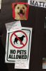 Filename=Dogs_8221.jpg
Filesize=79KiB
Dimensions=480x720
Date added=Aug 28, 2019 Dogs_8221.jpg