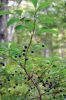 Filename=Eastover_0012.jpg
Filesize=223KiB
Dimensions=792x1188
Date added=Sep 03, 2014 Eastover_0012.jpg