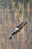 Filename=Eastover_0044.jpg
Filesize=422KiB
Dimensions=792x1188
Date added=Sep 03, 2014 Eastover_0044.jpg