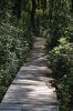 Filename=Eastover_0045.jpg
Filesize=358KiB
Dimensions=792x1188
Date added=Sep 03, 2014 Eastover_0045.jpg