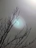 Eclipse-041124-Jane-Hathaway.jpg