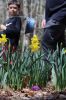 Filename=Eggs_6542.jpg
Filesize=99KiB
Dimensions=480x720
Date added=Apr 17, 2019 Eggs_6542.jpg