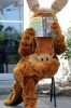 Filename=FBLunch441_1013.jpg
Filesize=386KiB
Dimensions=1200x1807
Date added=Oct 12, 2011 FBLunch441_1013.jpg