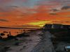 Filename=FaithBall_Sunset.jpg
Filesize=155KiB
Dimensions=960x720
Date added=Oct 05, 2022 FaithBall_Sunset.jpg