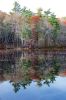 Filename=Fall_9097.jpg
Filesize=142KiB
Dimensions=479x720
Date added=Nov 04, 2015 Fall_9097.jpg