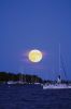 Filename=Full-Harvest-Moon.jpg
Filesize=83KiB
Dimensions=648x972
Date added=Sep 23, 2016 Full-Harvest-Moon.jpg