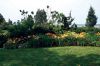 Filename=GARDEN_1689.jpg
Filesize=292KiB
Dimensions=1200x801
Date added=Jul 18, 2012 GARDEN_1689.jpg