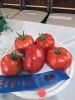 Filename=Grange-Fair-by-Marilou-082224-2483.jpg
Filesize=75KiB
Dimensions=540x720
Date added=Aug 21, 2024 Grange-Fair-by-Marilou-082224-2483.jpg