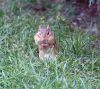 Filename=GrantJohnson.jpg
Filesize=197KiB
Dimensions=804x720
Date added=Sep 28, 2022 GrantJohnson.jpg