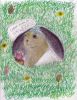 Filename=Groundhog14.jpg
Filesize=258KiB
Dimensions=606x777
Date added=Jan 29, 2013 Groundhog14.jpg